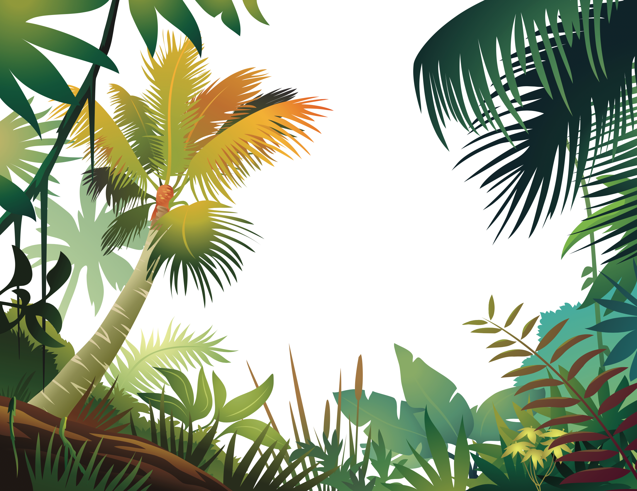 Colorful Tropical Frame