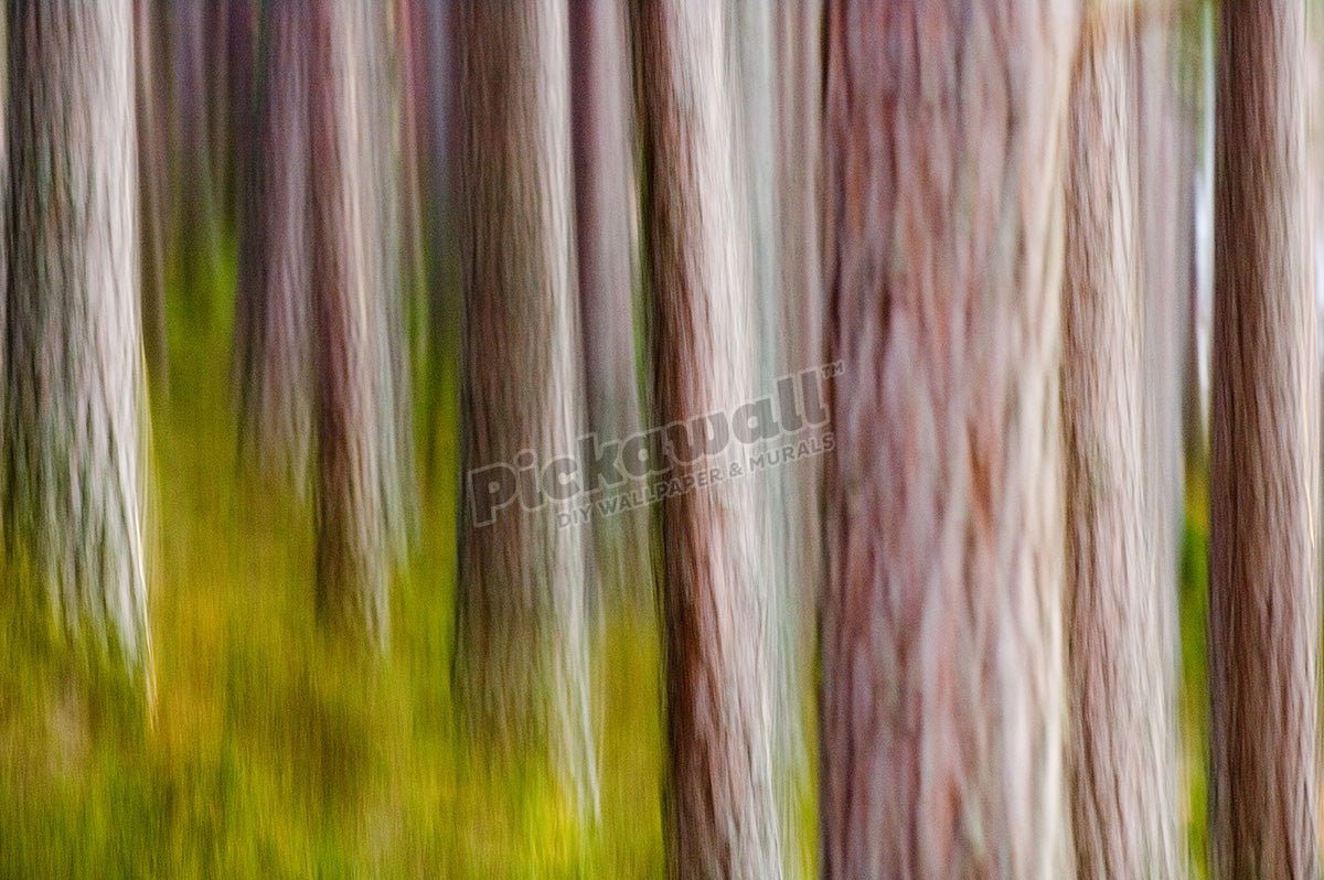 Abstract of Pine Forest - Pickawall
