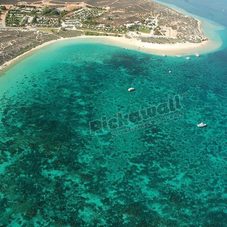 Aerial view of Coral Bay Ningaloo Reef Marine - Pickawall