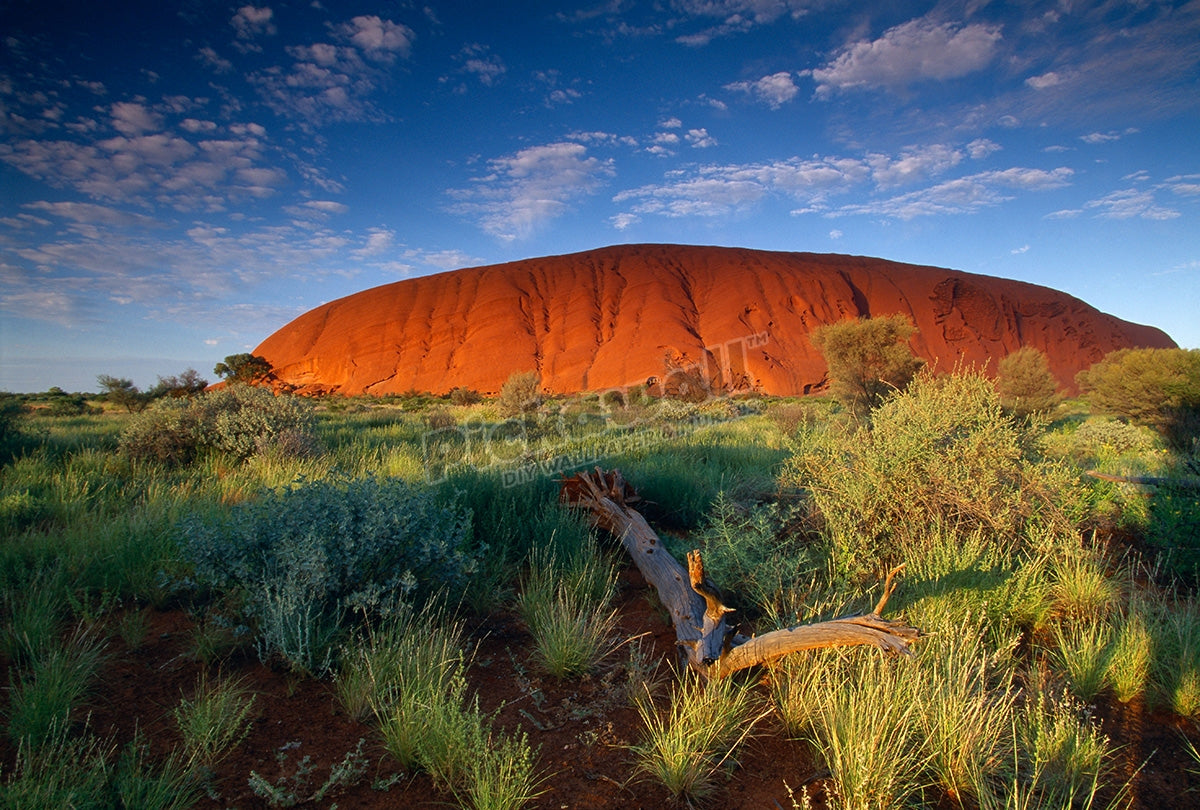 Uluru Ayers Rock at dawn Kata Tjuta National Park Northern Territories Australia