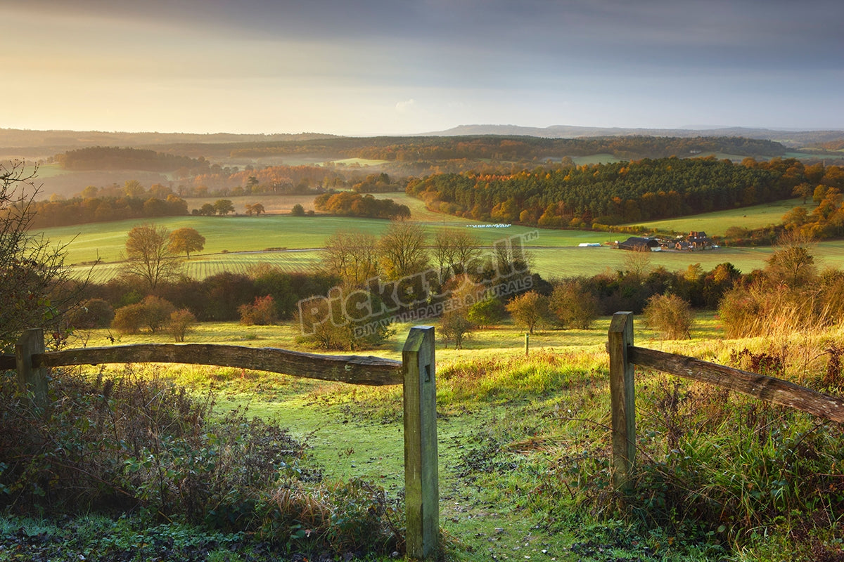 Morning sunlight shining over the North Downs, Newlands Corner