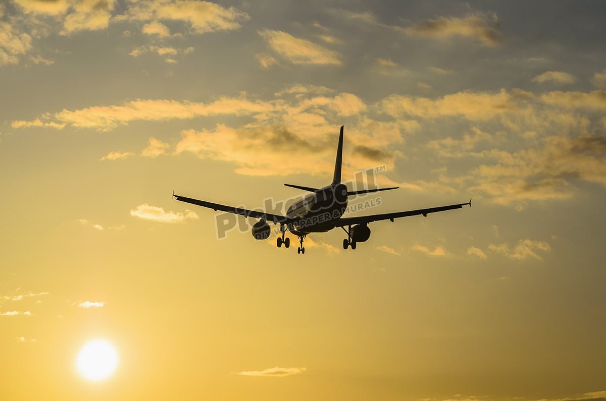 Aircraft landing at sunset - Pickawall