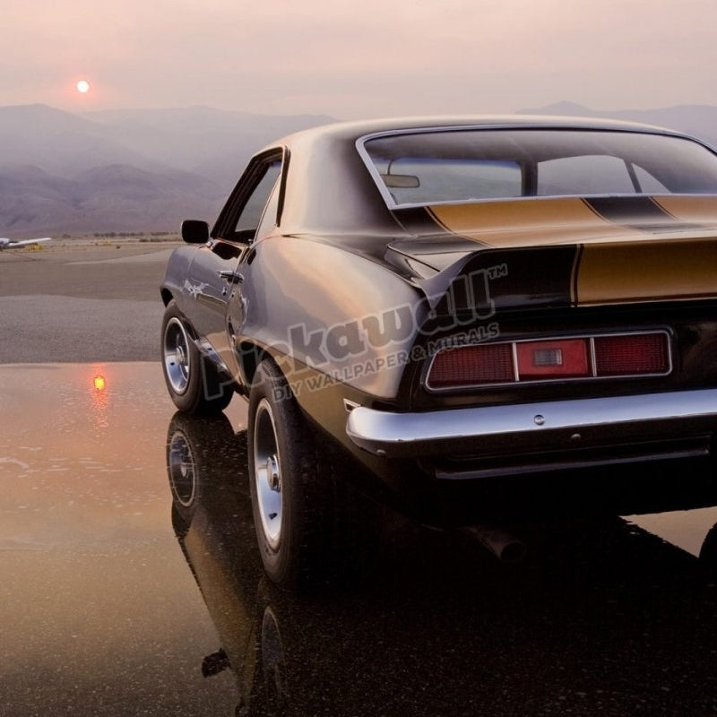 American Muscle Car - Pickawall