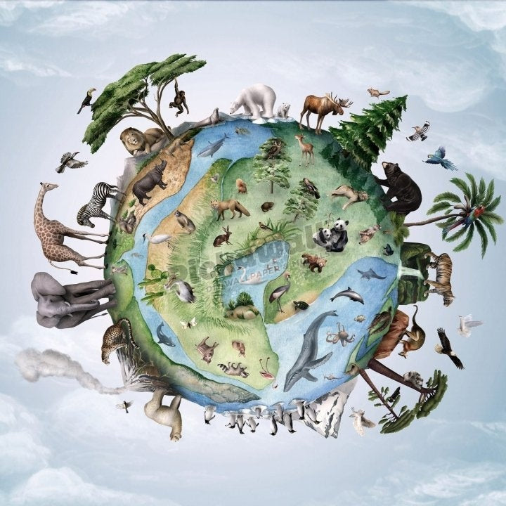 Animals on Earth by Kikki Belle - Pickawall