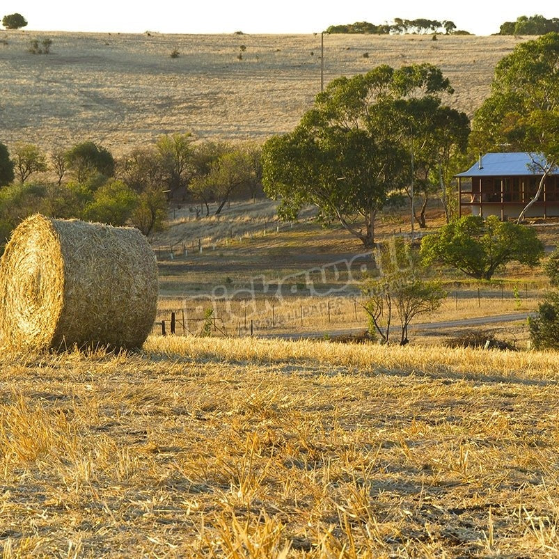 Australian country-side - Pickawall
