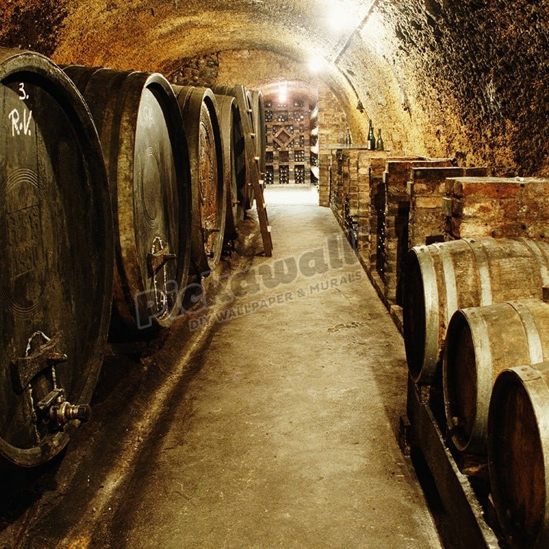 Austria, Vienna, barrels in winery corridor - Pickawall
