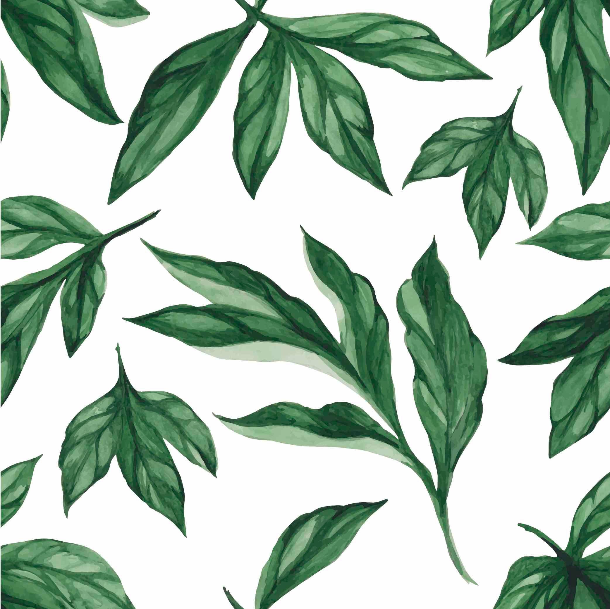 Watercolour Summer Leaves