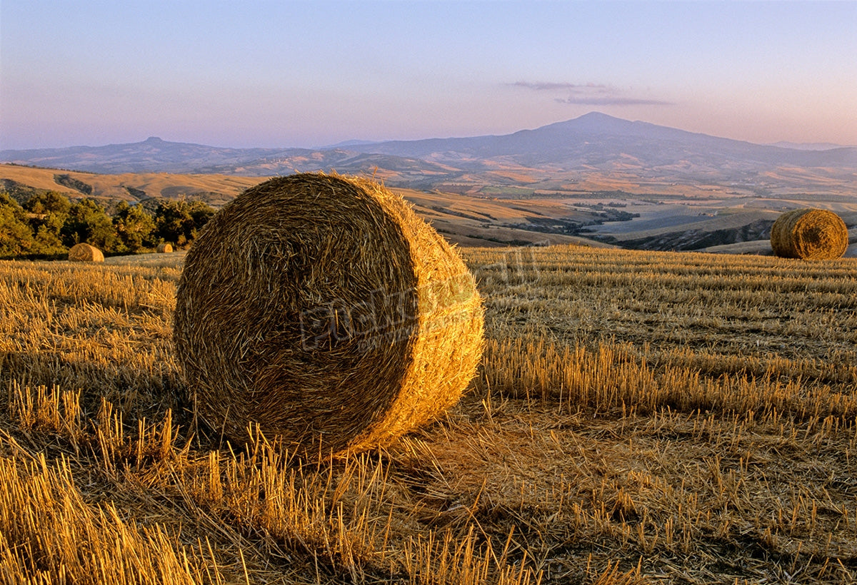 Bale of straw