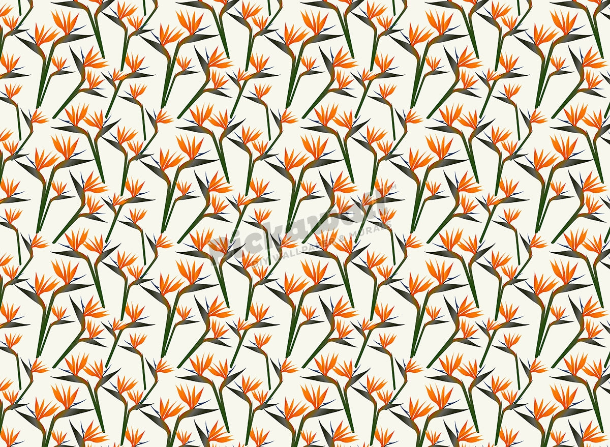Mini Birds of Paradise