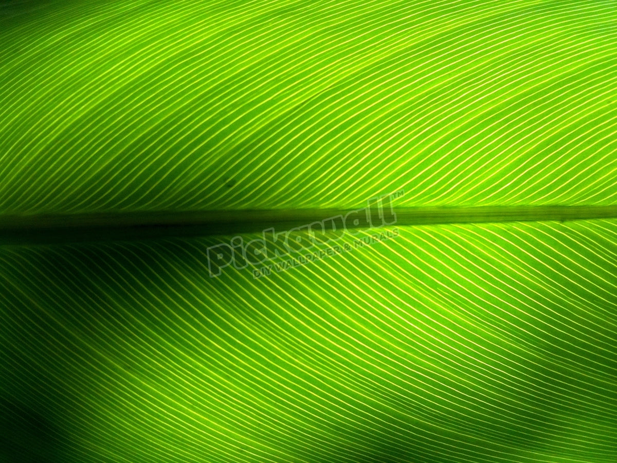 Green leaf