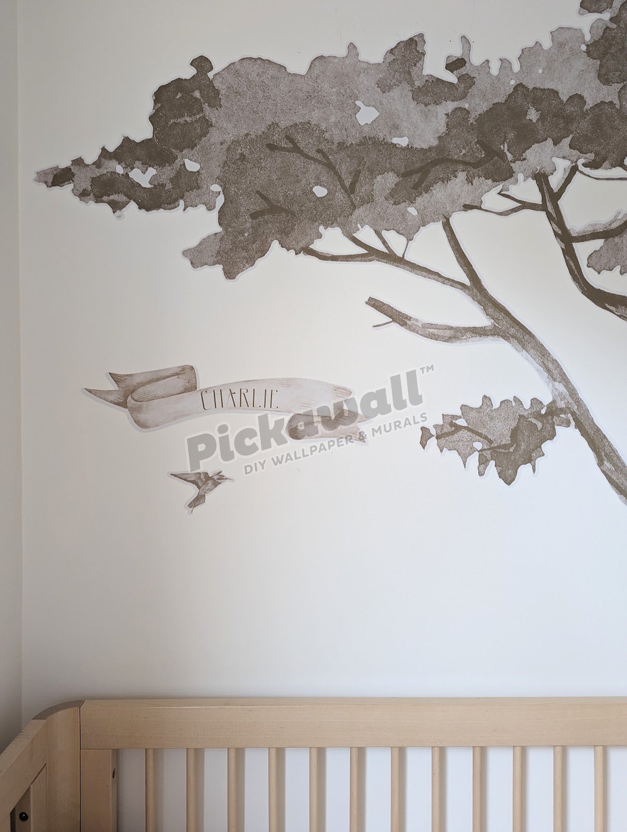 Safari Decals by Katie Sargent