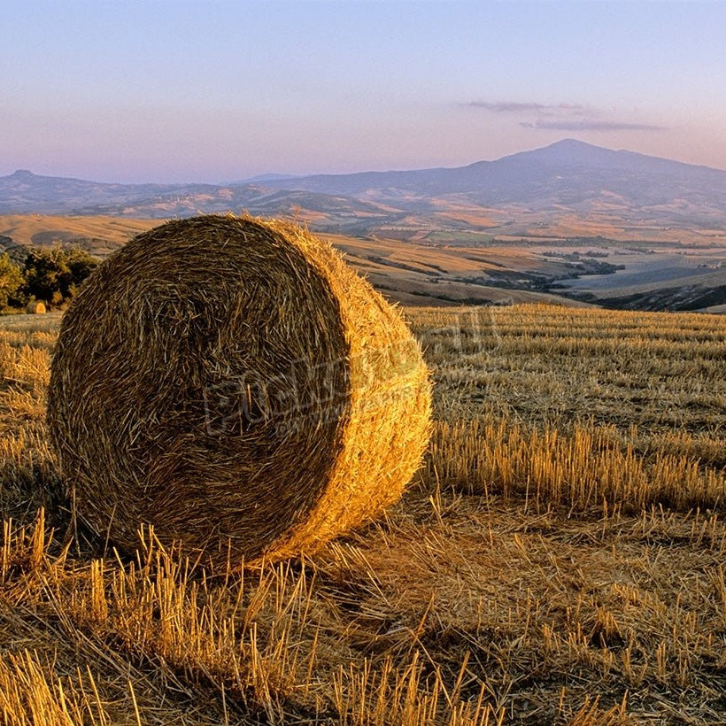 Bale of straw - Pickawall