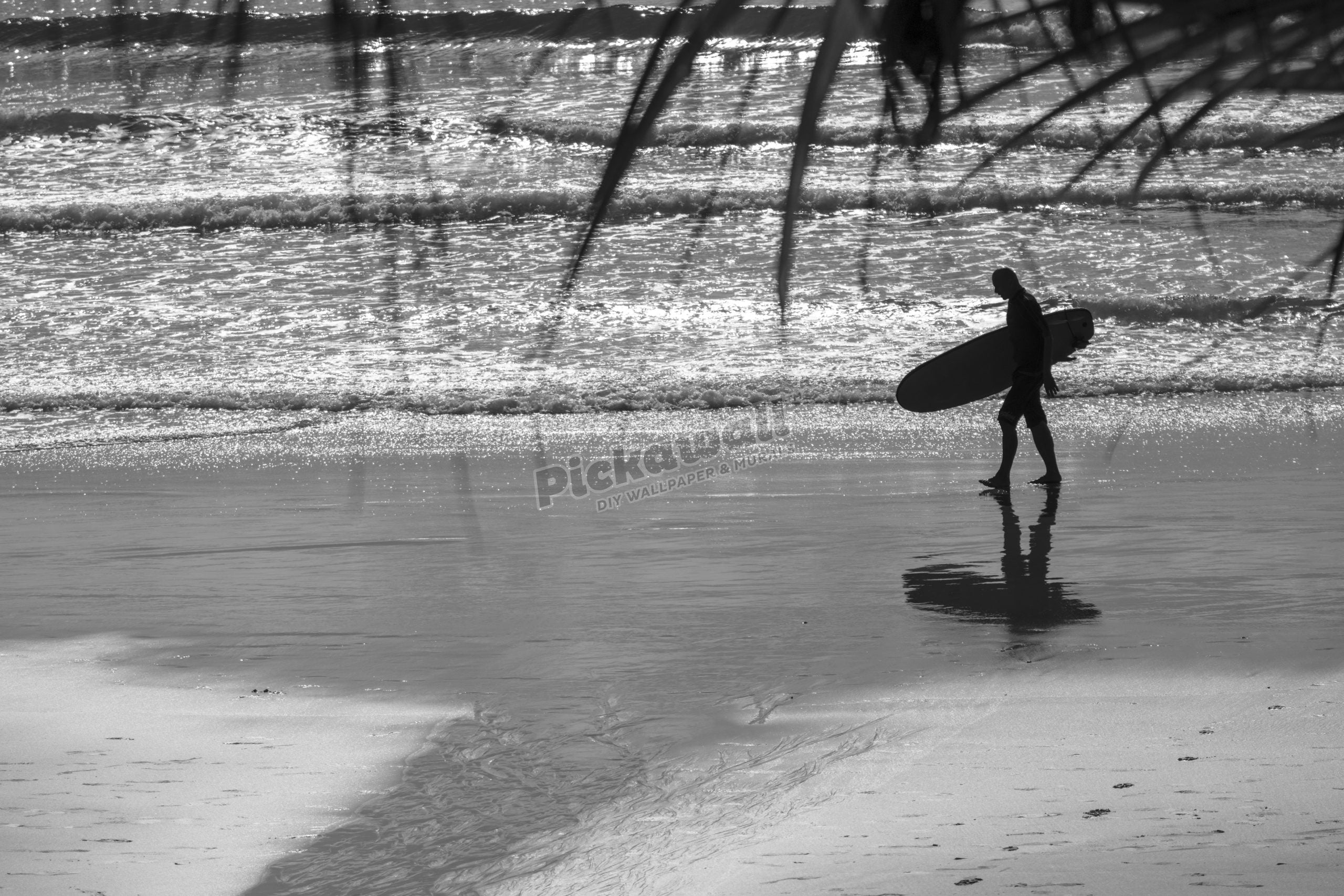 Surfer walking a beach