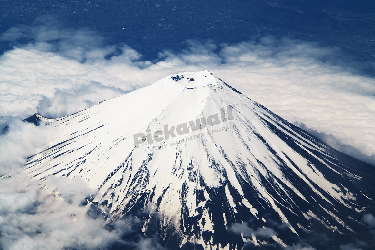 Mt. Fuji from the sky