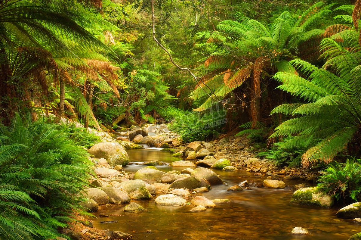 Evercreech Forest