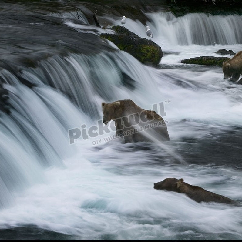 Bear fishing - Pickawall