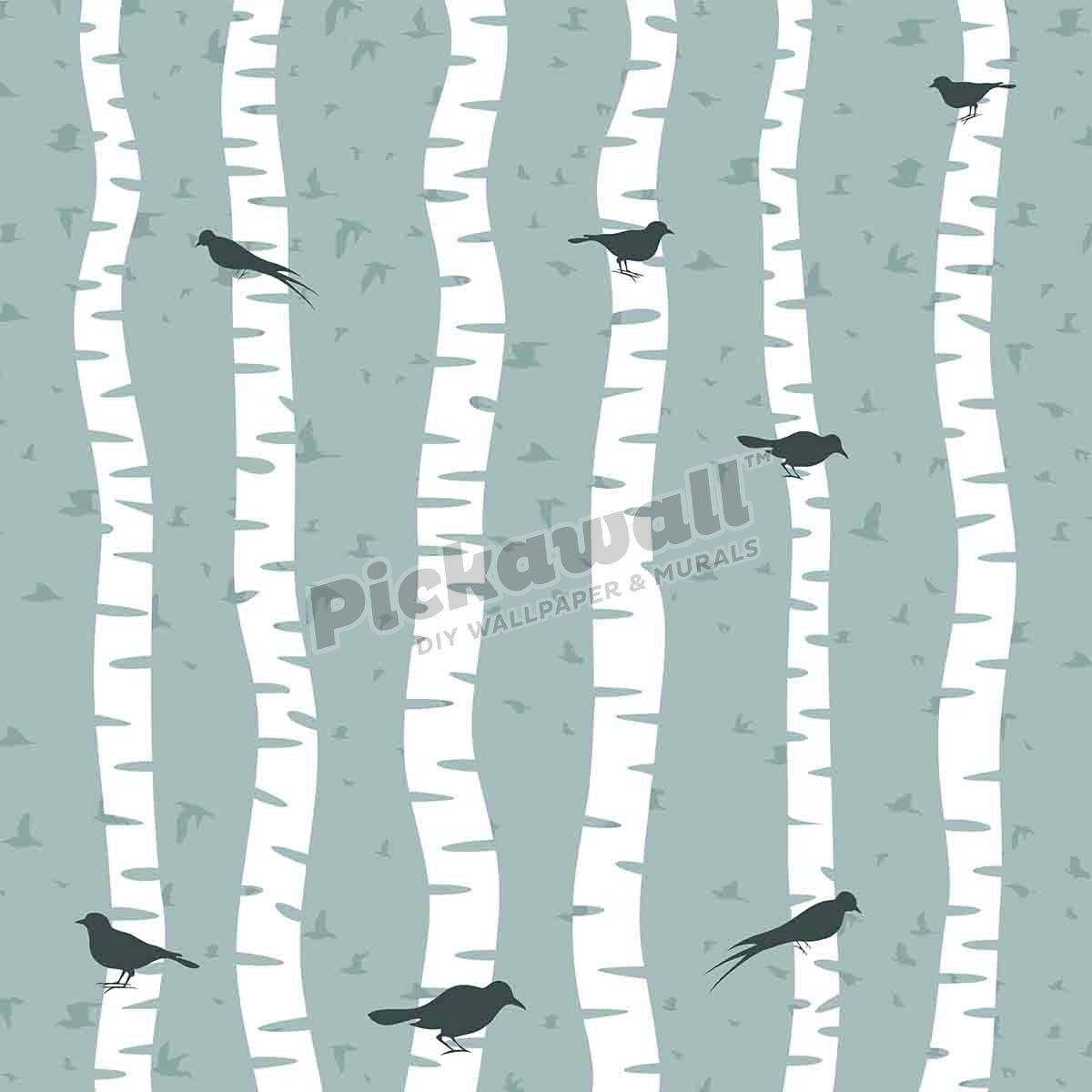 Bird on a birch - Pickawall
