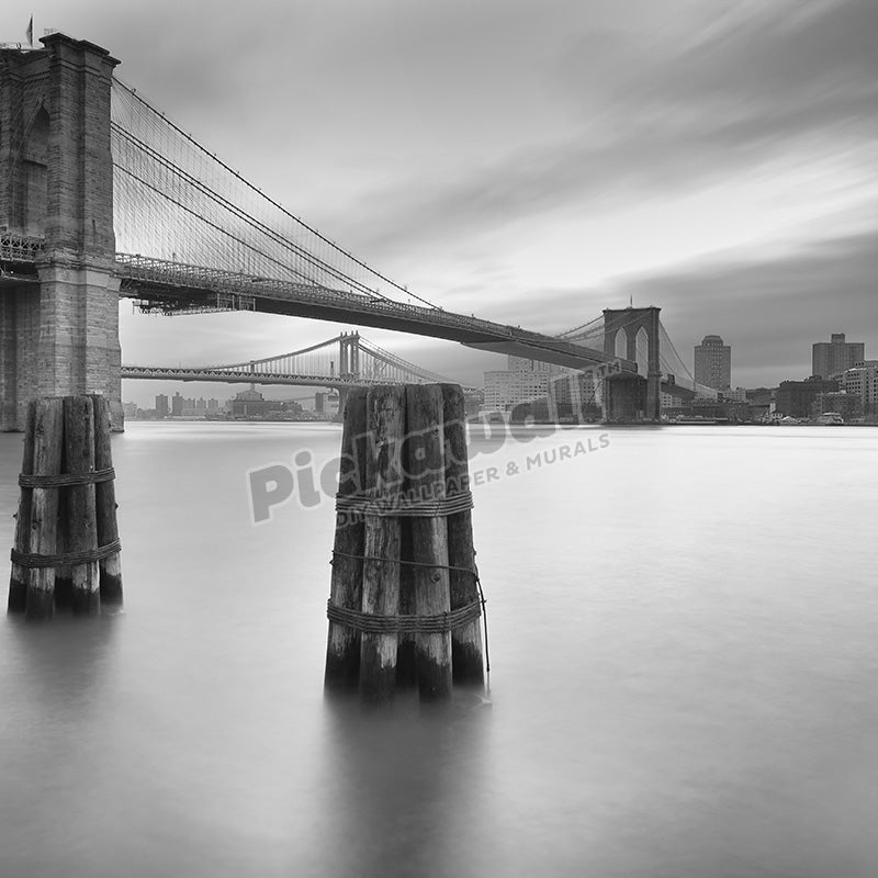 Black and white Brooklyn bridge - Pickawall