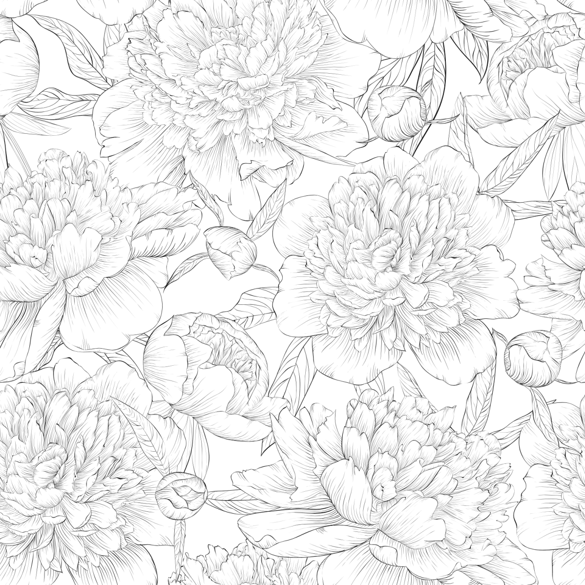 black and white peonies - house rules - Pickawall