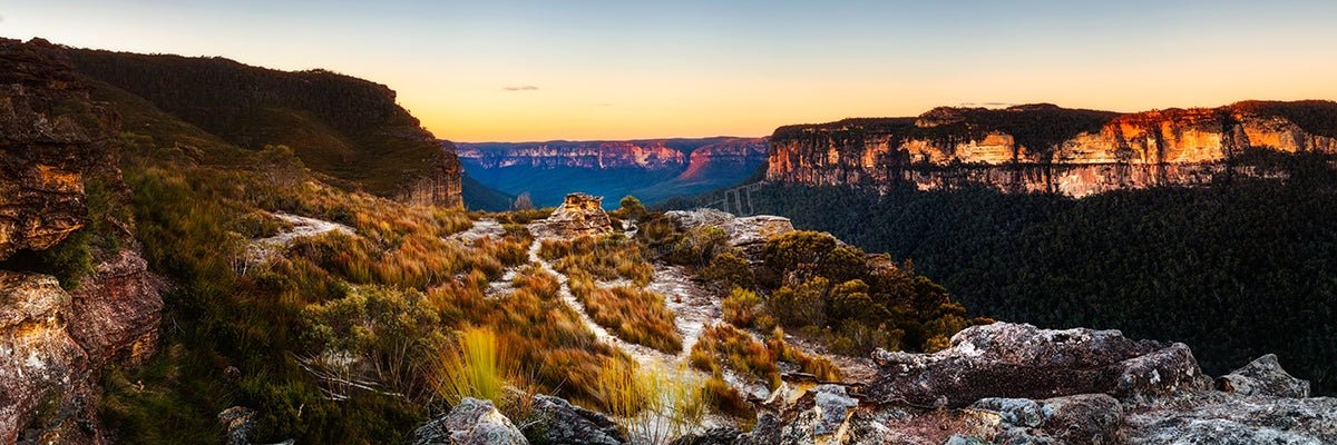 Blue Mountains National Park - Pickawall