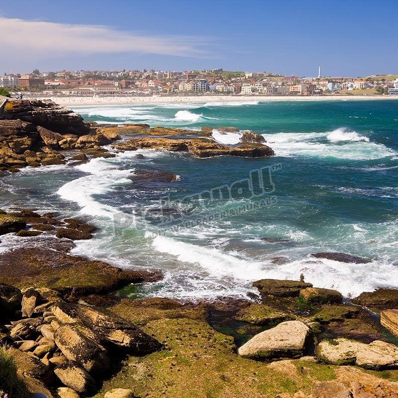 Bondi Beach, Sydney Summer - Pickawall