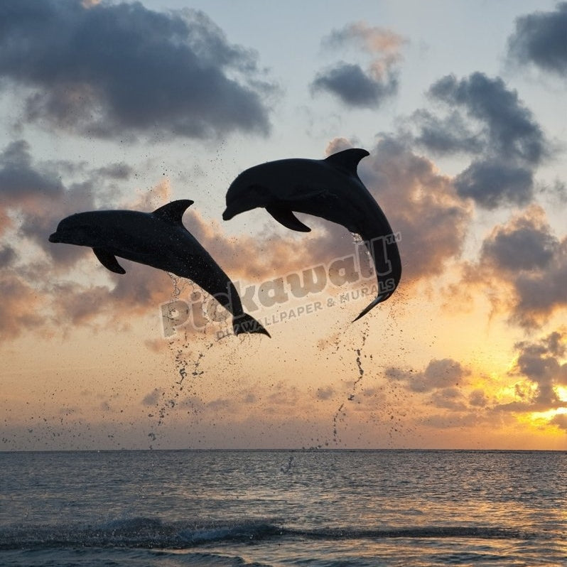 Bottlenose Dolphins leaping - Pickawall