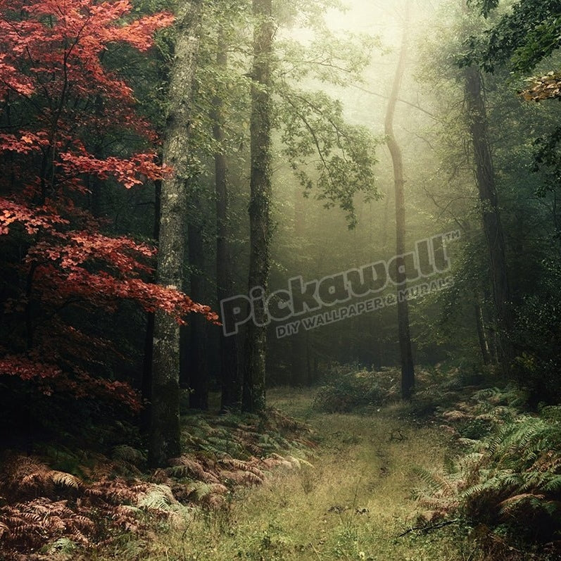 broceliande - Pickawall