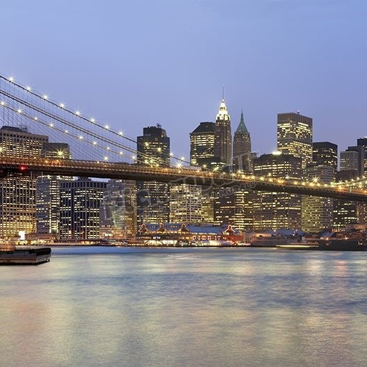 Brooklyn Bridge and Lower Manhattan - Pickawall