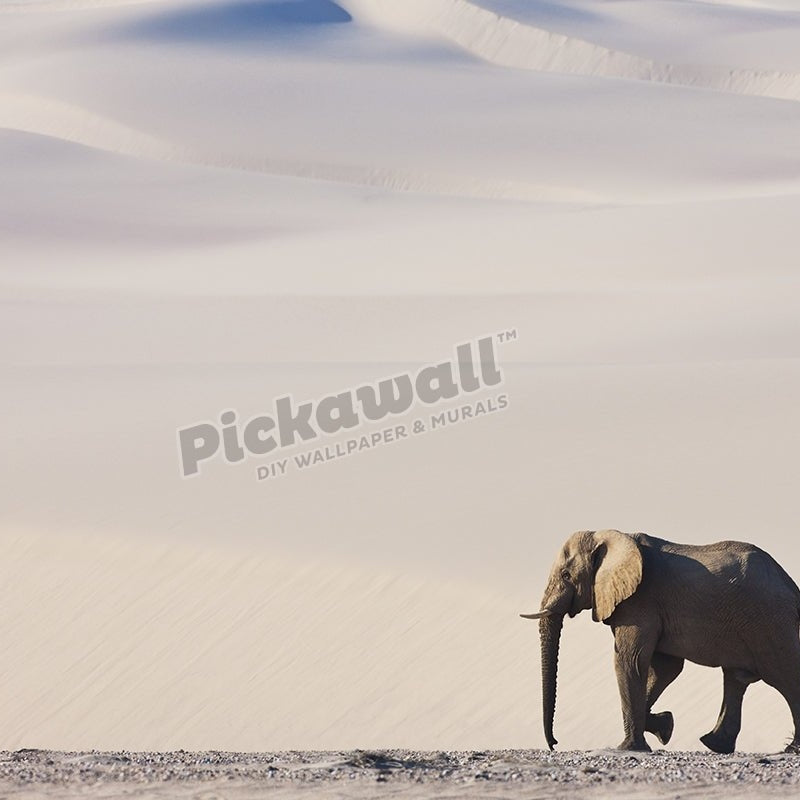 Bull Elephant - Pickawall