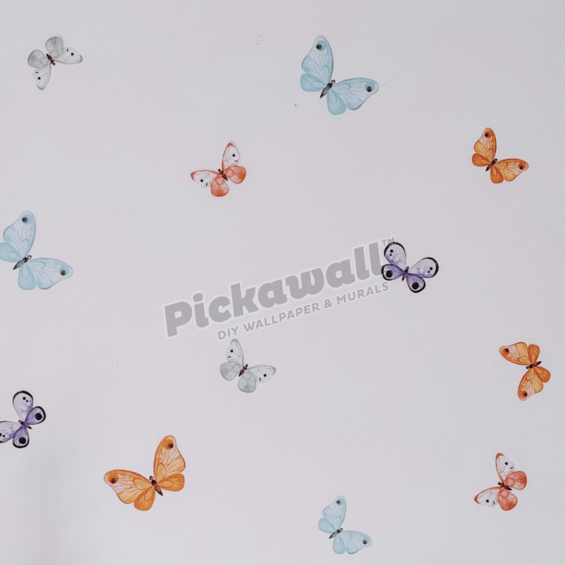 Butterfly Decal Set - Pickawall