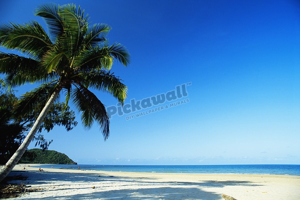 Cape Tribulation - Pickawall