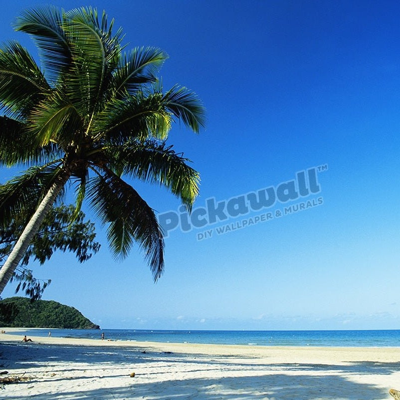 Cape Tribulation - Pickawall