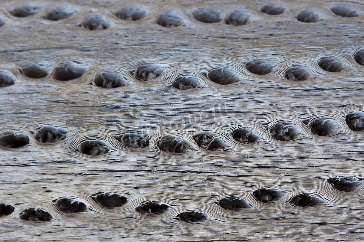 Textural Wood - Knots