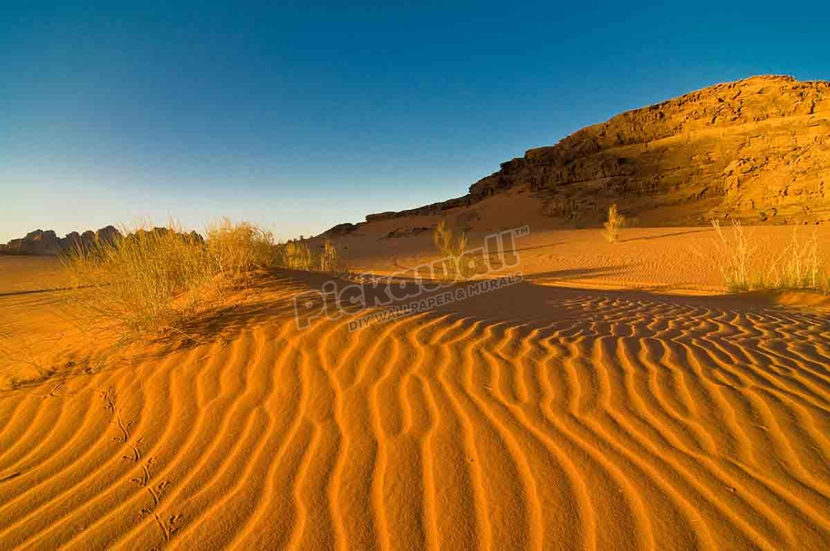 Desert scenery of Wadi Rum