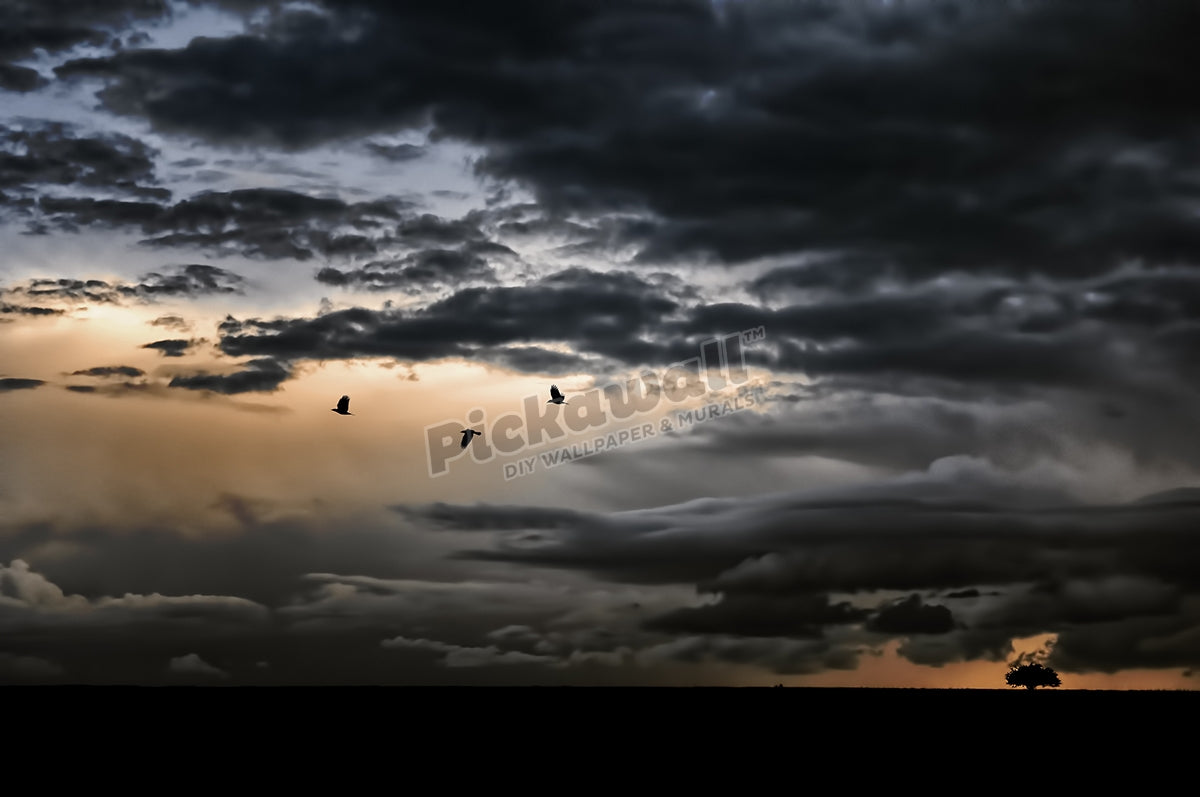 Clouds