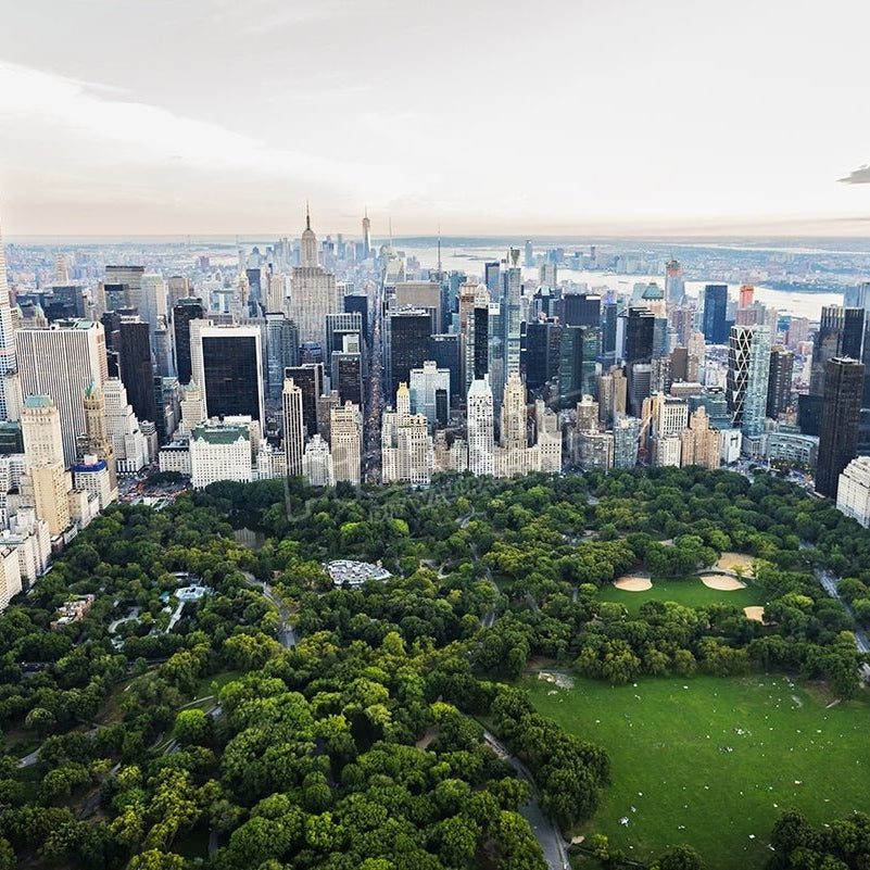 Central Park, New York City - Pickawall