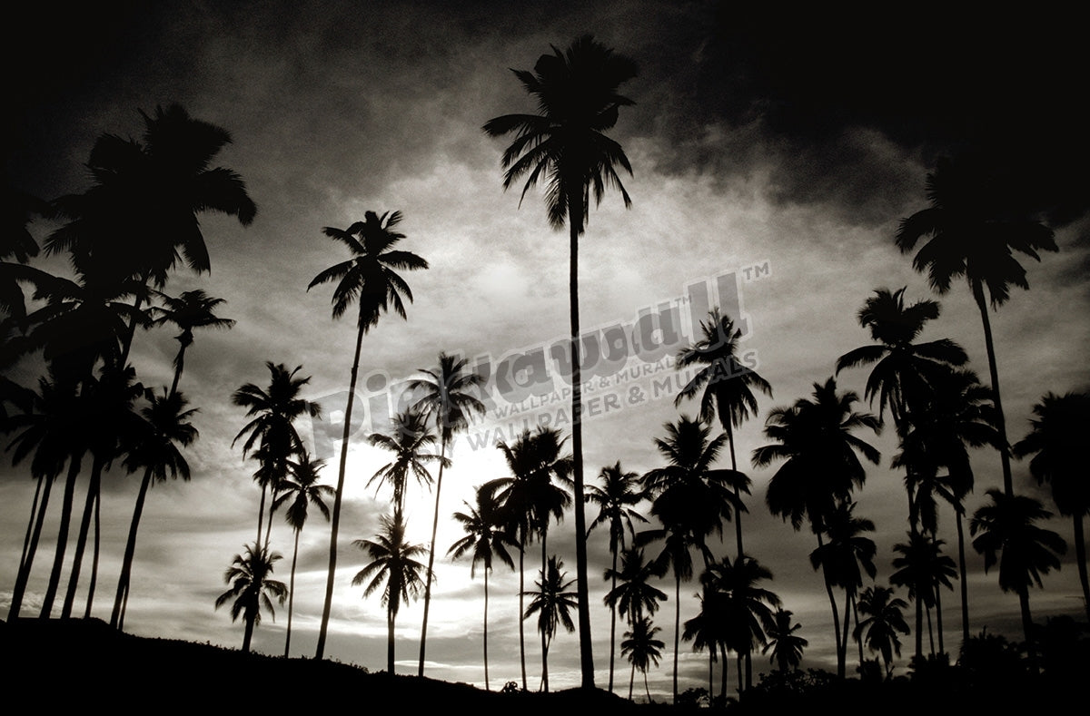 Tropical Vacation