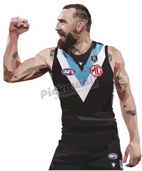 Charlie Dixon by DG Designs X AFL - Pickawall