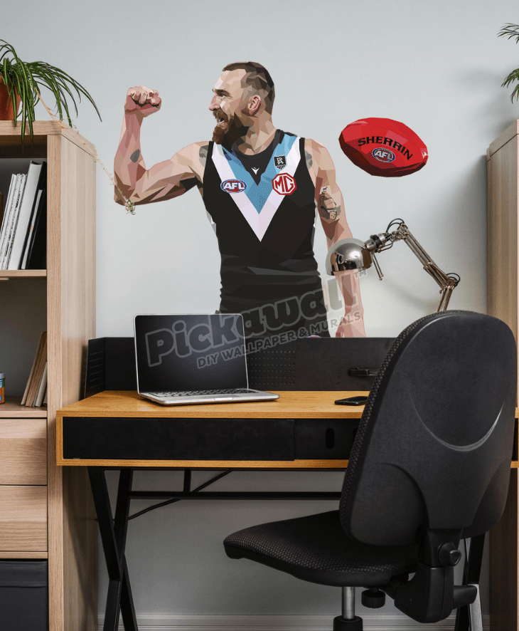 Charlie Dixon by DG Designs X AFL - Pickawall