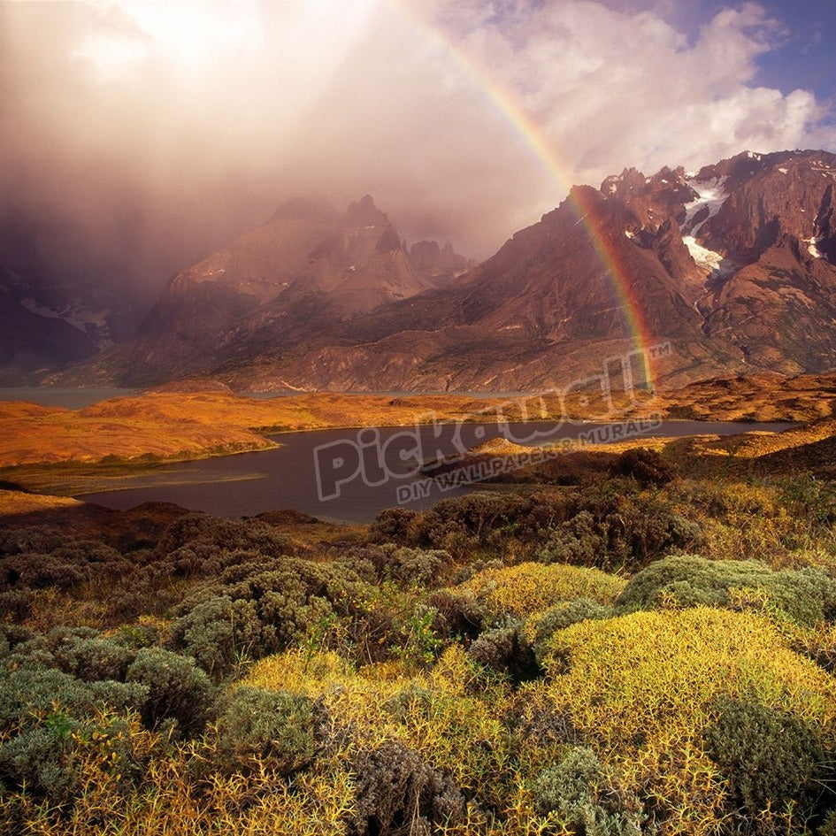Chile, Patagonia - Pickawall