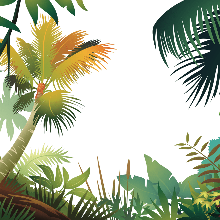 Colourful Tropical Frame - Pickawall