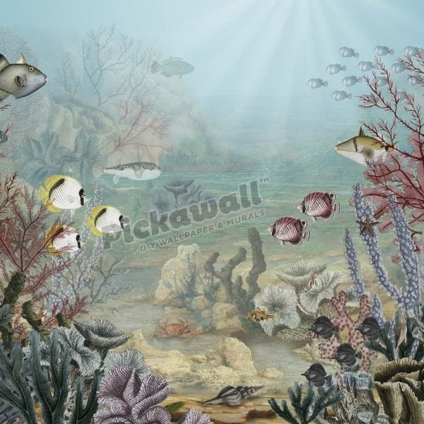 Coral Creatures by Sir Edward - Pickawall