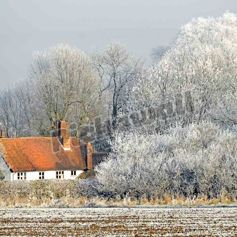Country cottage in winter wonderland of trees covered in frost - Pickawall