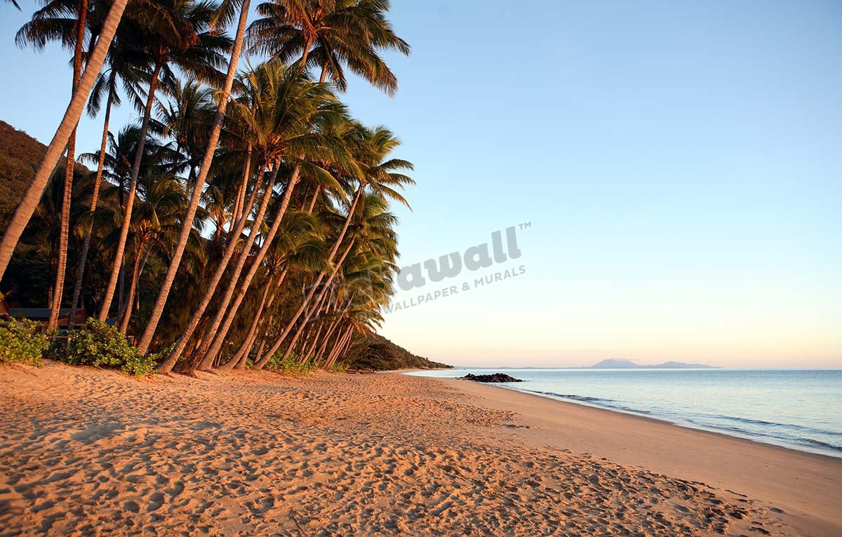 Dawn on Ellis Beach, near Palm Cove.
