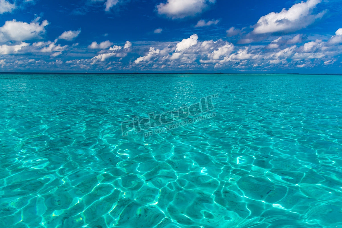 Maldives. Island in the ocean