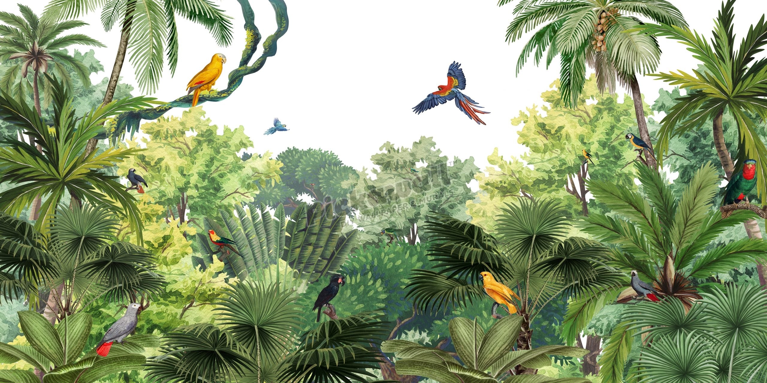 Canopy Jungle by Kikki Belle