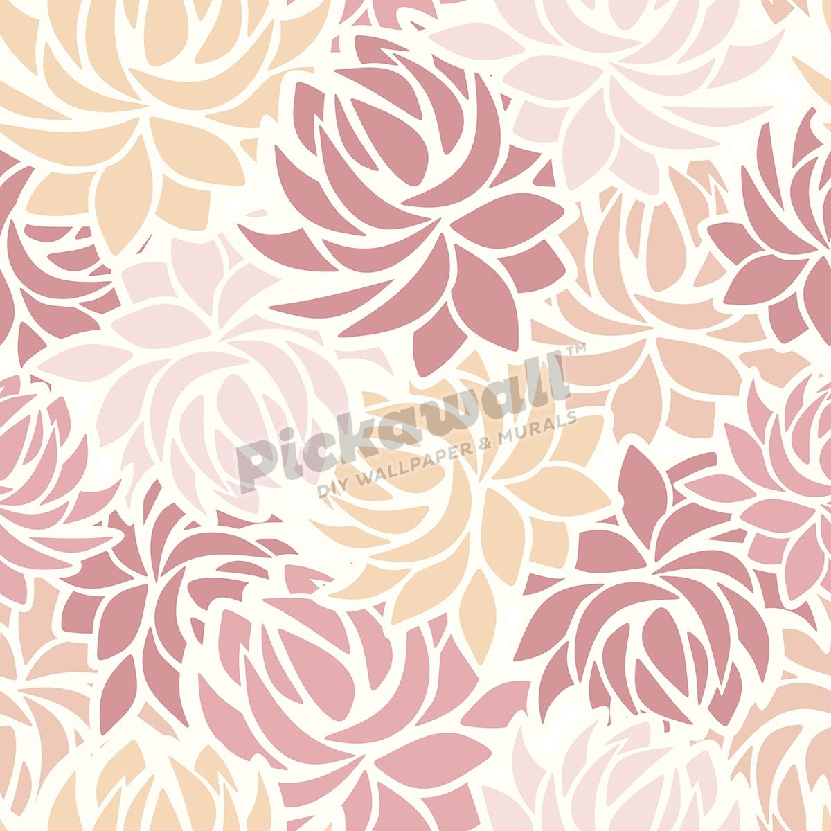 Dahlia flowers - Pickawall