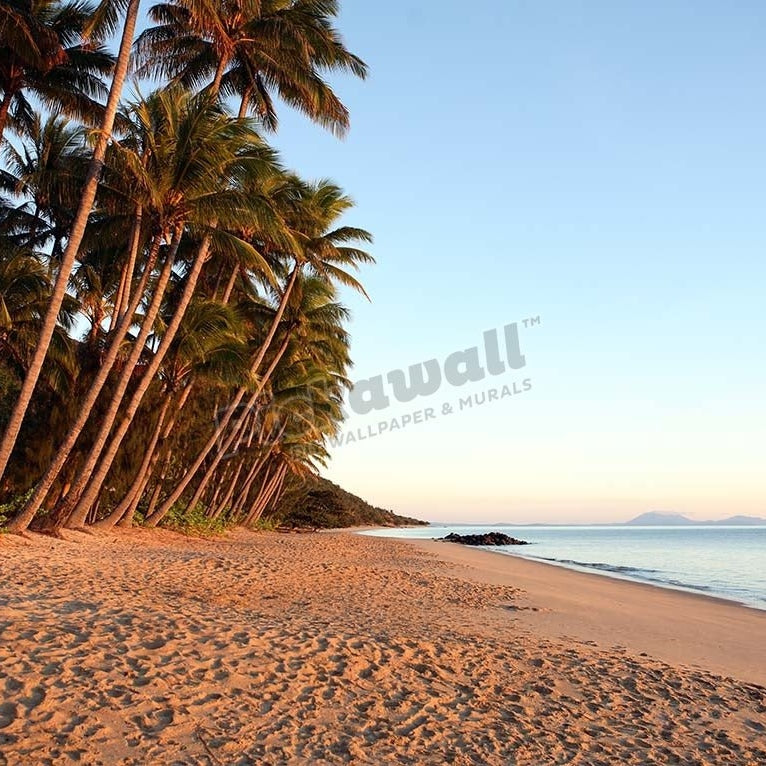 Dawn on Ellis Beach, near Palm Cove. - Pickawall
