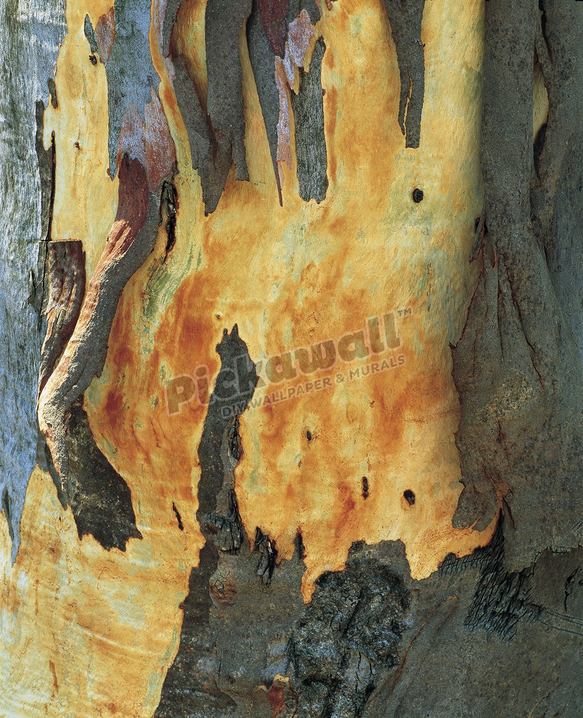 Mountain Ash bark