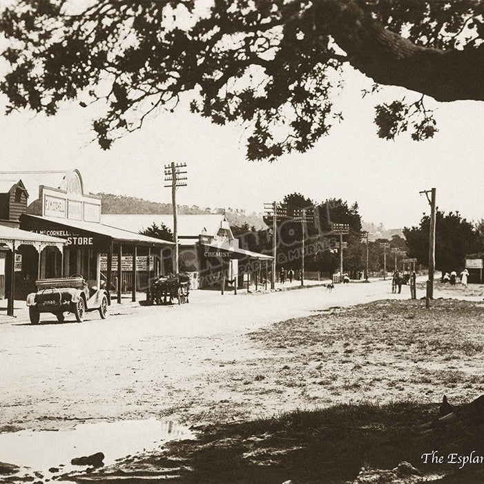 Dromana - Pickawall